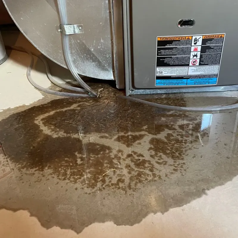 Pipe Burst and Leak Restoration in Diaz, AR