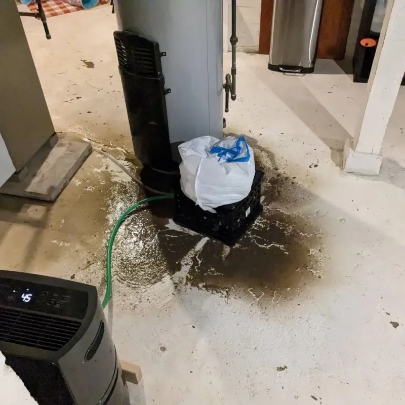 Sewage Backup Cleanup Service in Diaz, AR